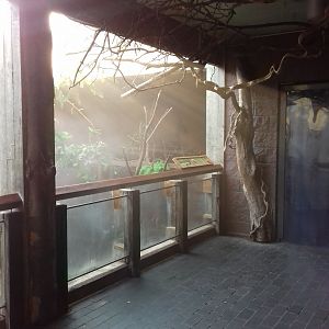 Clore Rainforest Lookout