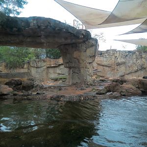 Northwest Passage - Polar Bear Exhibit