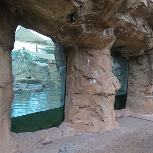 Northwest Passage - Polar Bear Exhibit
