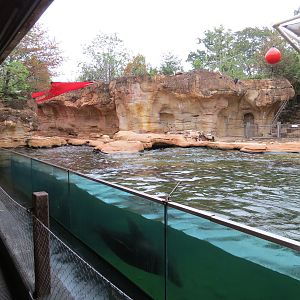 Northwest Passage - California Sea Lion Exhibit