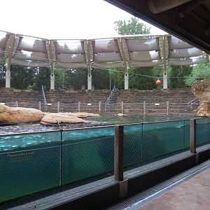 Northwest Passage - California Sea Lion Exhibit