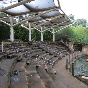 Northwest Passage - California Sea Lion Exhibit - Amphitheater