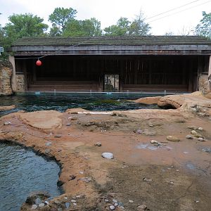Northwest Passage - California Sea Lion Exhibit