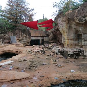 Northwest Passage - California Sea Lion Exhibit