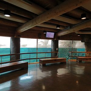 Northwest Passage - Polar Bear Exhibit - Underwater Viewing