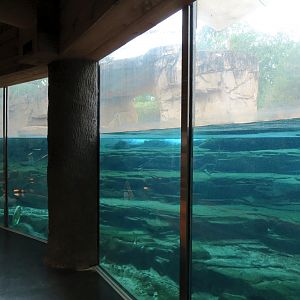 Northwest Passage - Polar Bear Exhibit - Underwater Viewing