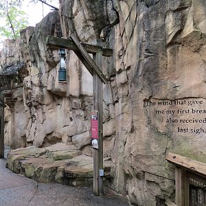 Northwest Passage - American Black Bear Exhibit
