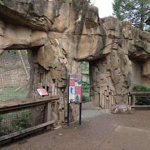Northwest Passage - American Black Bear Exhibit