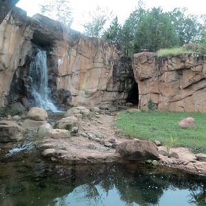 Northwest Passage - American Black Bear Exhibit