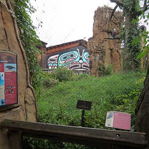 Northwest Passage - Bald Eagle and Raven Exhibit