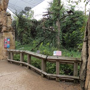 Northwest Passage - Bald Eagle and Raven Exhibit