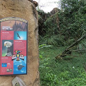 Northwest Passage - Bald Eagle and Raven Exhibit