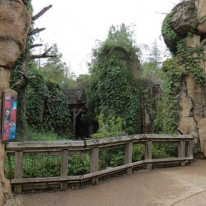 Northwest Passage - Bald Eagle and Raven Exhibit
