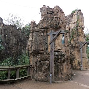 Northwest Passage - Bald Eagle and Raven Exhibit