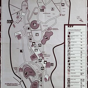 Wellington Zoo map 2008