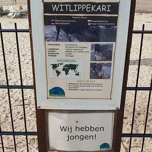 Sign and birth-sign White-lipped peccary