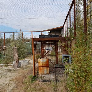 View into Steller's sea-eagle aviary