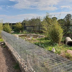 Bush dog enclosure