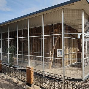 Viscacha - Squirrel enclosure