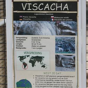 Sign Plain viscacha