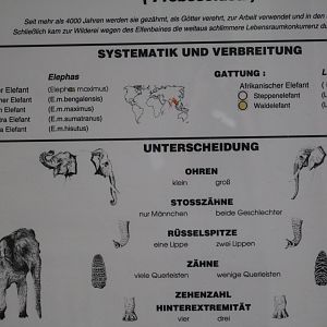 Outdated Elephant Sign