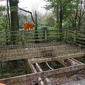 Changes in Lemur Wood, November 2018