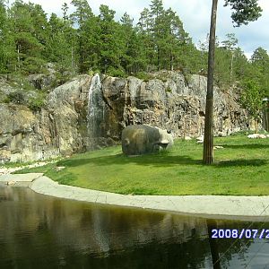 Tiger World (2008)