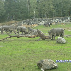 Mixed enclosure (2008)