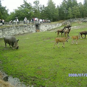 Mixed enclosure (2008)