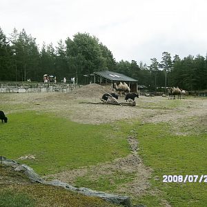 Mixed enclosure (2008)