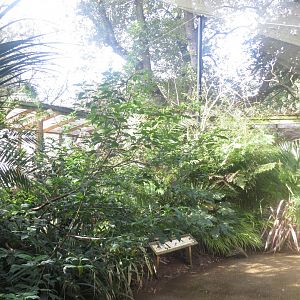 Gems of the Jungle 081018