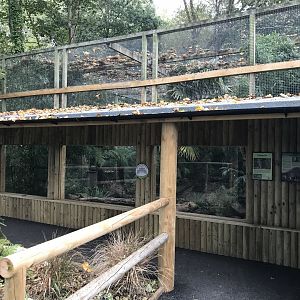 Fishing cat enclosure 081018