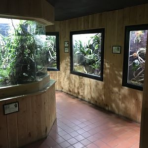 Tropical House 081018