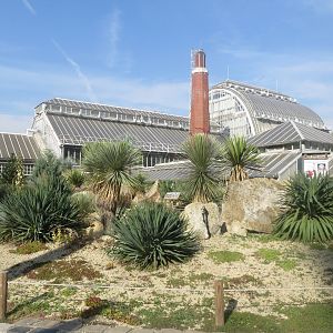 America Tropicana 171018