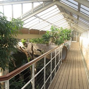 America Tropicana 171018