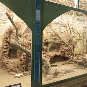 Australia House - reptile exhibit 171018