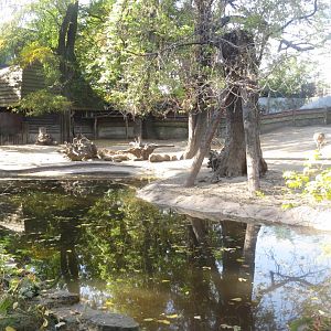 South American mixed exhibit 171018