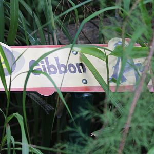 Unhelpful signage; September 2018