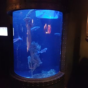 Aquarium