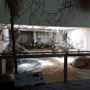 Tortoise - Iguana indoor-enclosure