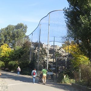 Walkthrough aviary in Little Rock 171018