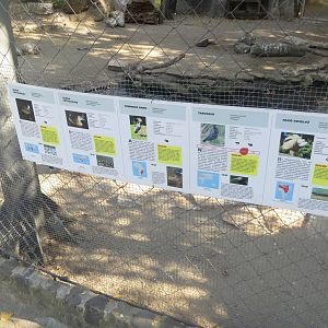 Inhabitants of aviary beside Little Rock 171018