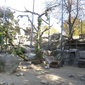 View inside aviary in Little Rock 171018