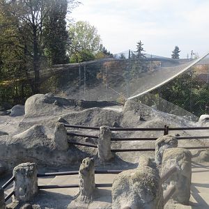 View above aviary beside Little Rock 171018