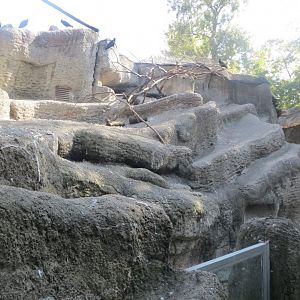 Walkthrough aviary Little Rock 171018