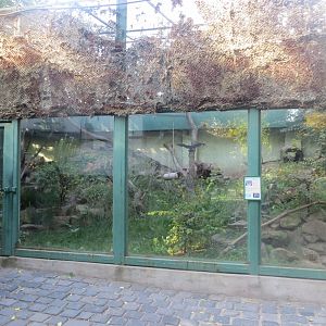 Pallas' cat enclosure 171018