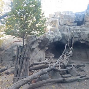 Chinese dhole enclosure 171018