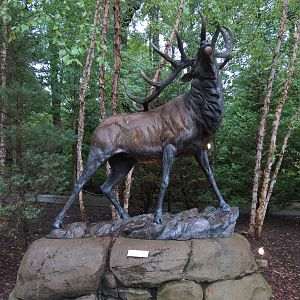 Teton Trek - Elk Sculpture