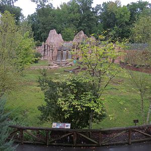 Teton Trek - Grizzly Bear Exhibit