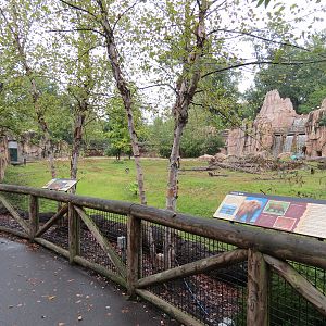 Teton Trek - Grizzly Bear Exhibit